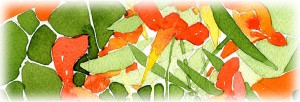 banner flower cards