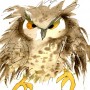 269 Eagle Owl